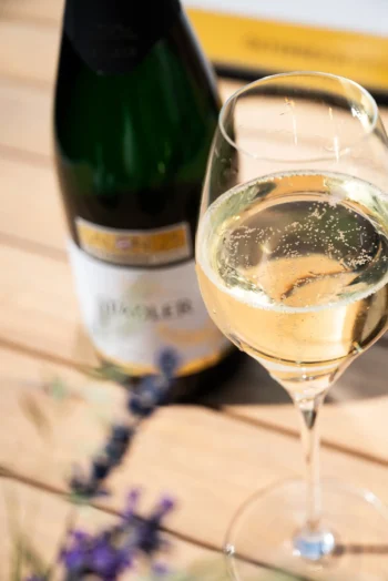 Sekt Austria Grüner Veltliner - SALON 2025 - Weingut Stadler