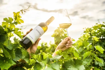 Weinviertel DAC Ried Rabenstein - Weingut Stadler