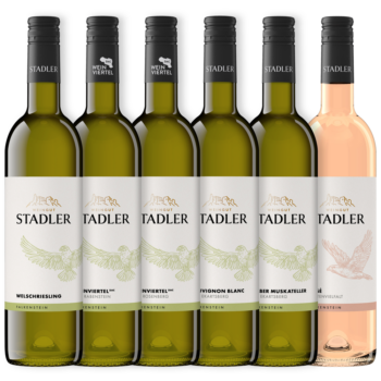 Weingut Stadler - Falkensteiner Klassik-Paket