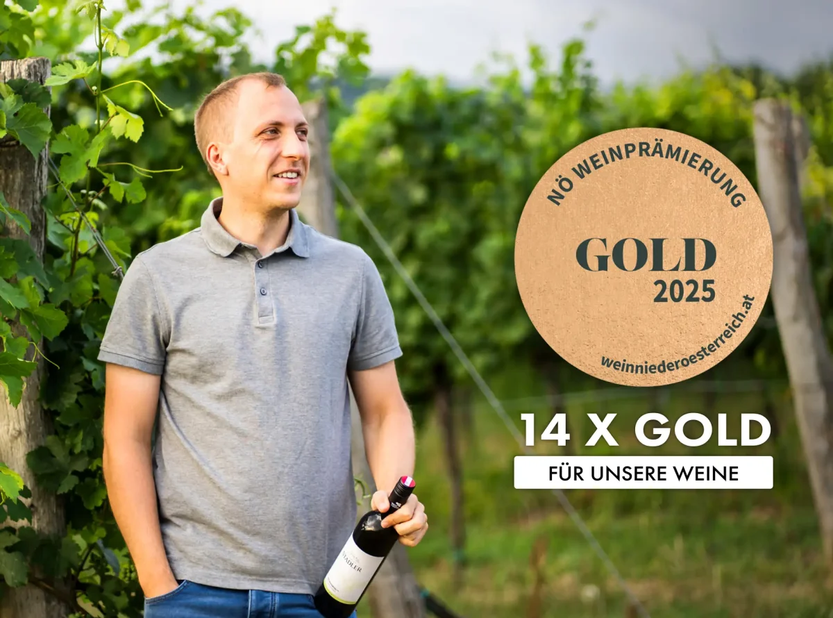 14 x Gold bei der Weinprämierung NÖ - Weingut Stadler