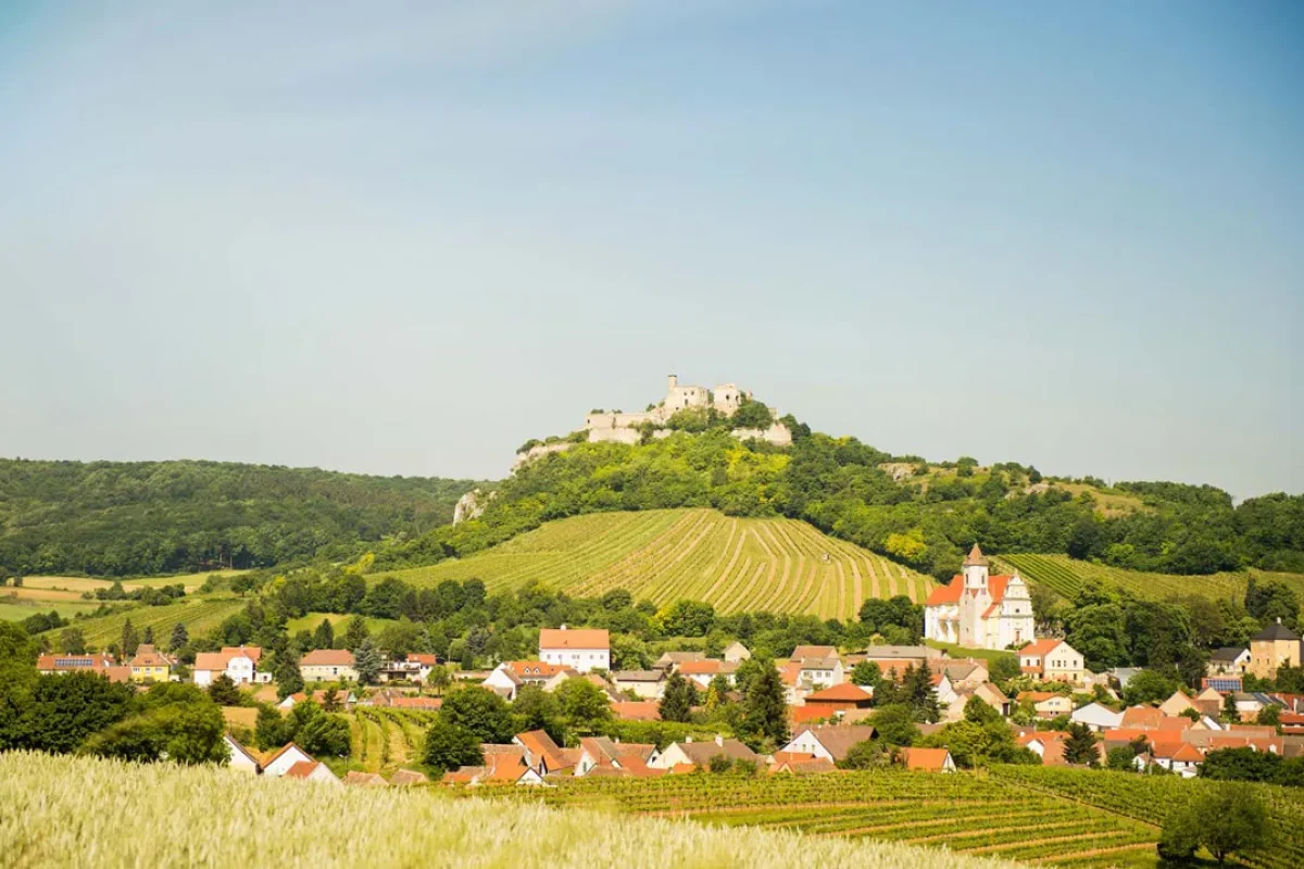 Weinort Falkenstein